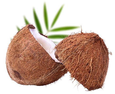 coconut
            shell-based activated carbon